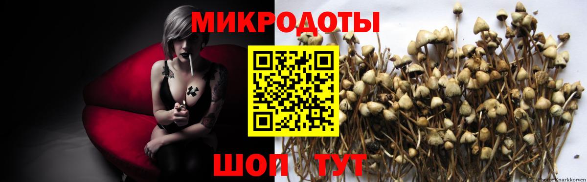 Псилоцибиновые грибы Psilocybine cubensis Наро-Фоминск
